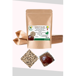 Haricot Blancs origine Bénin