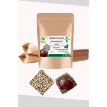 Haricot Blancs origine Bénin