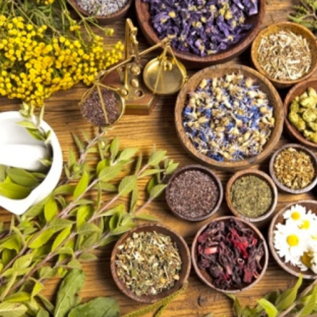 Feuilles médicinales